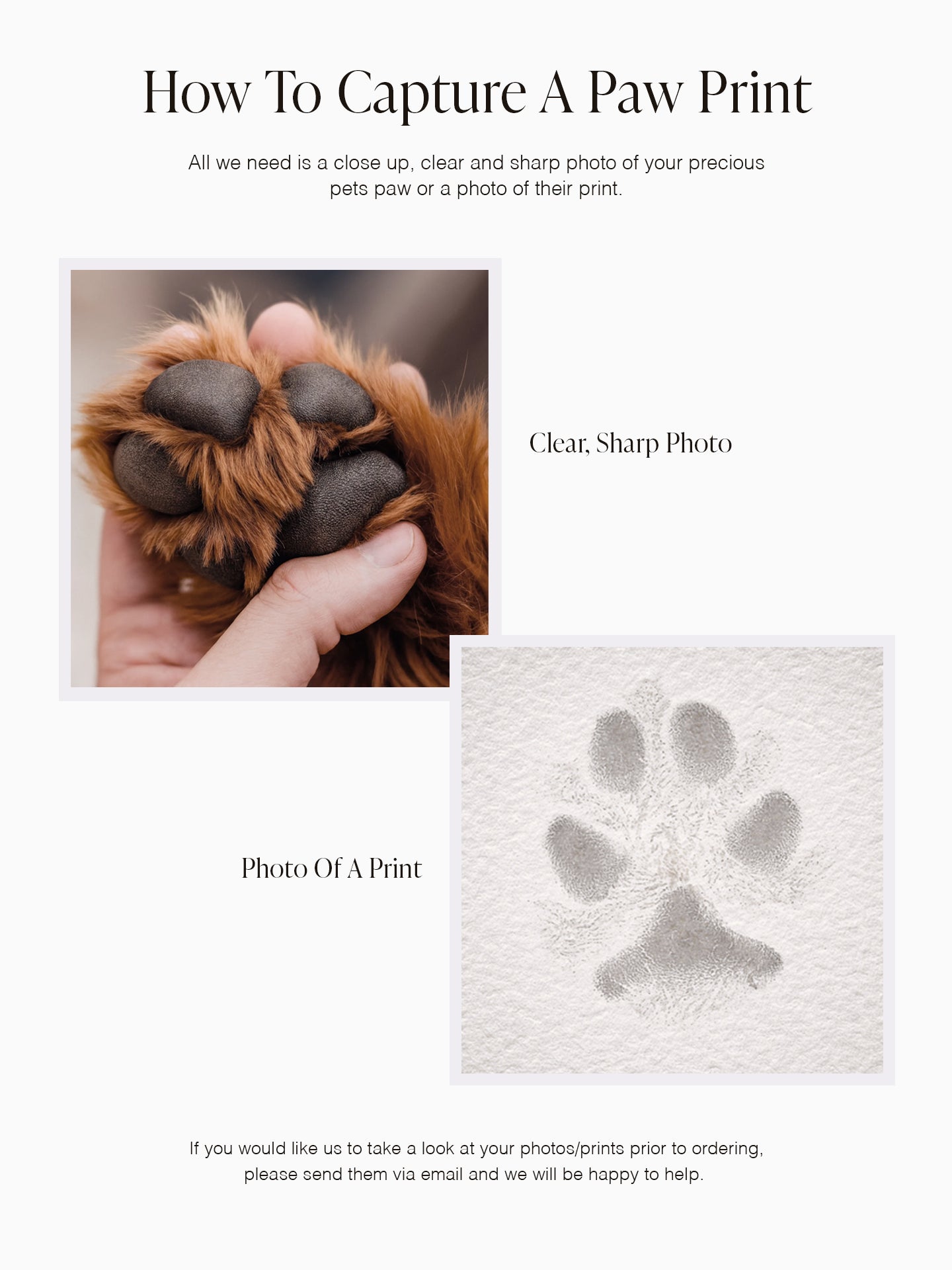 Add-On Small Paw Print Disk For Necklaces