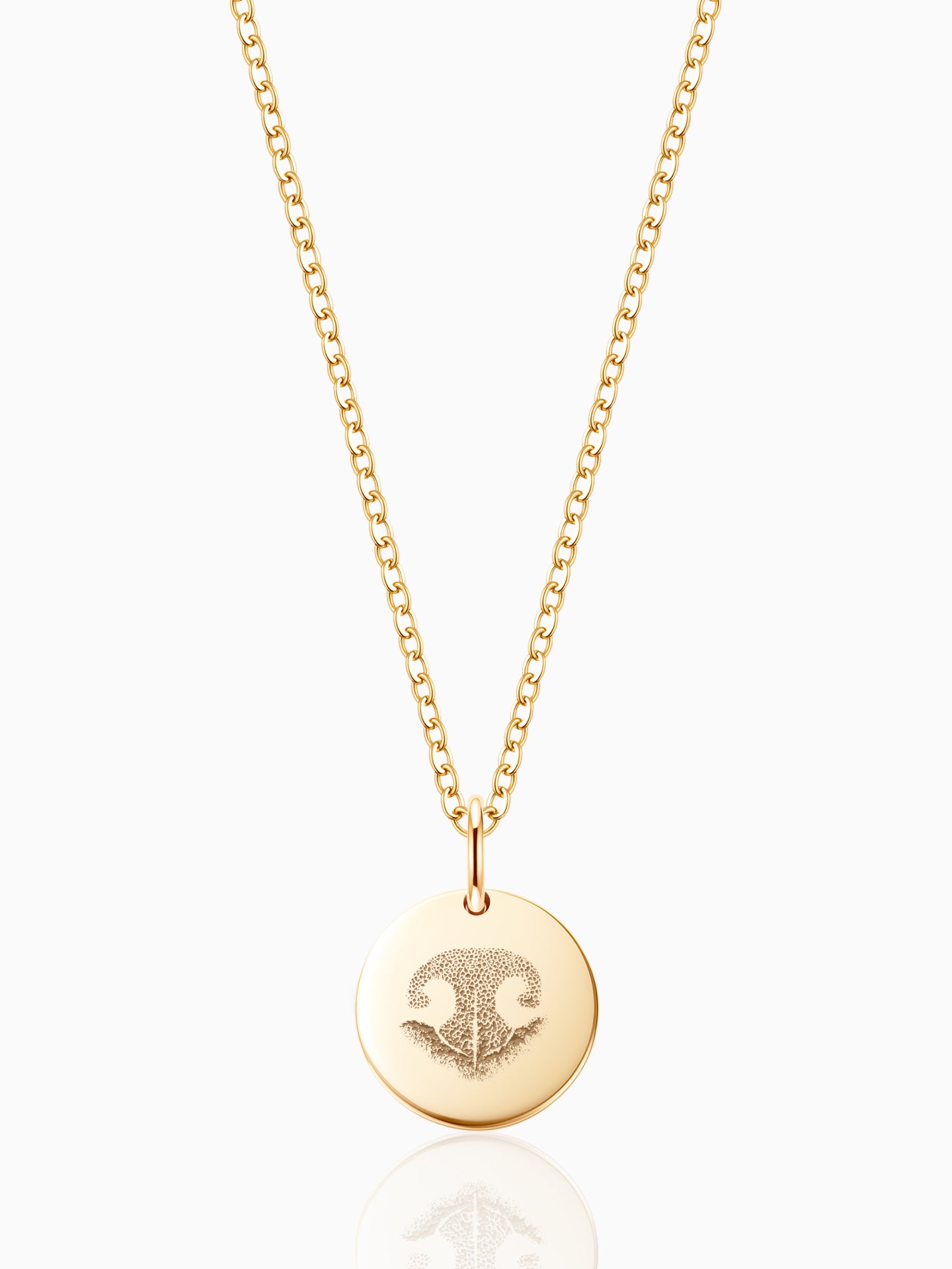 #material_14K Gold Fill