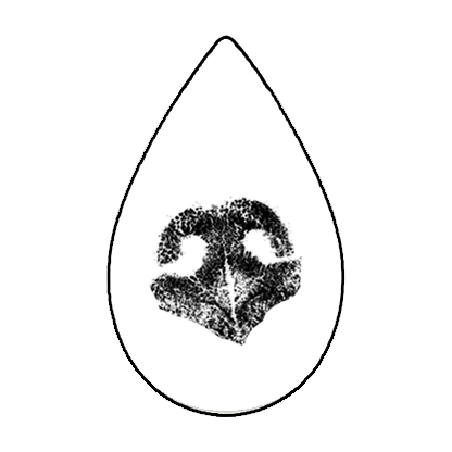 Custom Teardrop Engraving