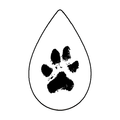 Custom Teardrop Engraving